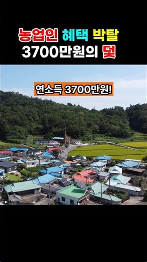 농업인 혜택 다 뺏기는 3700만원 #농업인 #시골땅 #촌땅 #농지 #농지법 #착한부동산