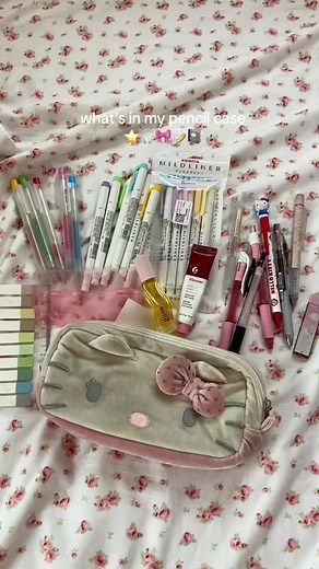 ⭐️ pencil case tour for the school yr