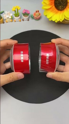 DIY Soda Can Spinner Toy | Easy Science Experiment