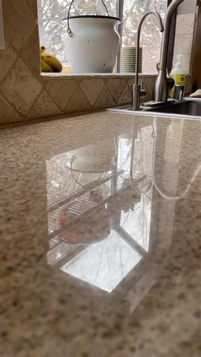 💚 Crunch into these Easy Refrigerator Pickled Green Beans! They're tangy, garlicky and ready to snack on in just a couple of days. Perfect for charcuterie boards, backyard BBQs or straight from the jar (no judgment 😉). Simply savor summer with every crispy bite. Get the recipe: https://tinyurl.com/38s52au3 #haveaplant #PickledPerfection #SimplySavorSummer #crunchysnacks #pickles #pickledgreenbeans #refrigeratorpickles | Fruits & Veggies—Have A Plant