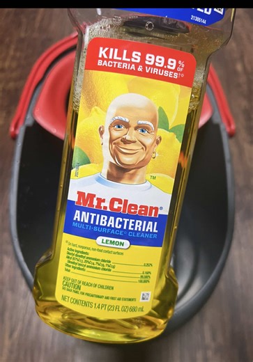 Pine Fresh Cleaning Tips for a Lasting Scent