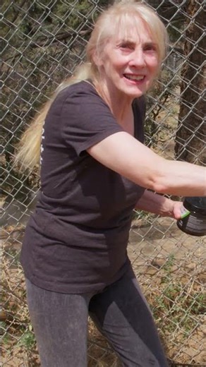 Do you know how a wolf walks? #DrSeuss #Shorts