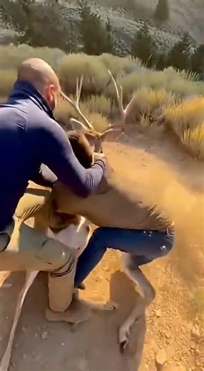 Animal rescue fail😬💥#shortvideo #shorts #fail #animals #rescue
