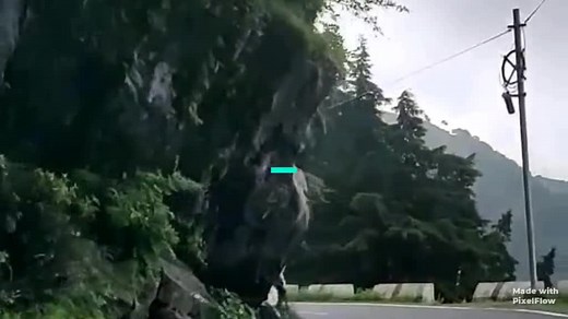 #comment_your_name #shrimali_janvi #tik_tok_india #foryou #foryoupage #like #viral #viralvideo