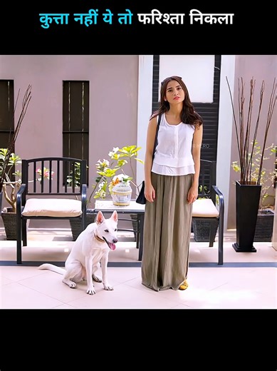 कुत्ता नहीं ये तो फरिश्ता निकला #foruyoupage #movie_explan #hindi #feelflix_story1 #viral