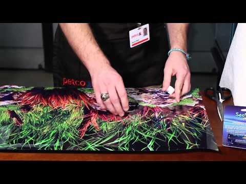 How to Put on a Fish Tank Background : Aquariums & Fish Care