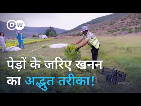 क्या पेड़ों के जरिए खनन से, निकल की कमी पूरी होगी?[Can plants solve the nickel battery supply gap?]