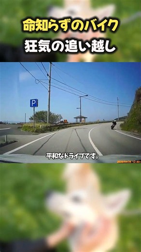 海岸道路で見た狂気のバイク追い越し！命懸けの無謀運転に絶句… #ドライブレコーダー #危険運転 #バイク暴走