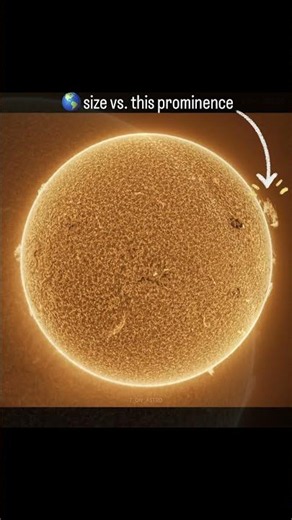 Earth/Solar Prominence comparison #sun #earth #space #astronomy #astrophotography