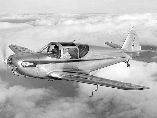 Lost Wings: The Rise and Fall of the Globe Swift