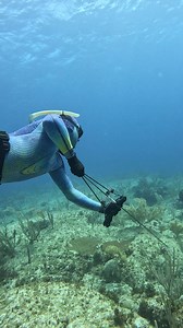 3.8M views · 22K reactions | Underwater Compound Bow for Spearfishing | Ryan Myers Spearfishing | Facebook