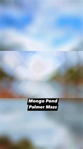 Jessica LaVallie on Instagram: "#mongopond #pond #hike"