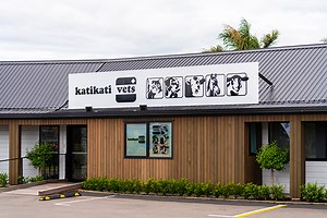 Katikati Vets Clinic | Expert Veterinary Services | BOP Vets