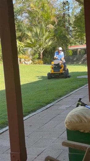 2.4K views · 32 reactions | Bumblee bee doing her first mowing gig | Wendy Fraser | Facebook