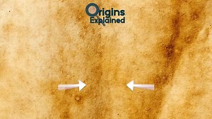 Most Bizarre Unsolved Mysteries To This Day! | Mysterious Stories