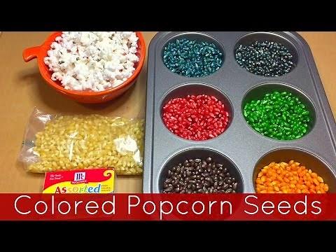 How To Color Popcorn Seeds - Preschool and Kindergarten