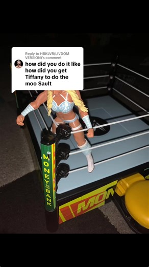 Replying to @HBKLVR(LIVDOM VERSION) @HBKLVR(LIVDOM VERSION) here’s how I do the moonsault