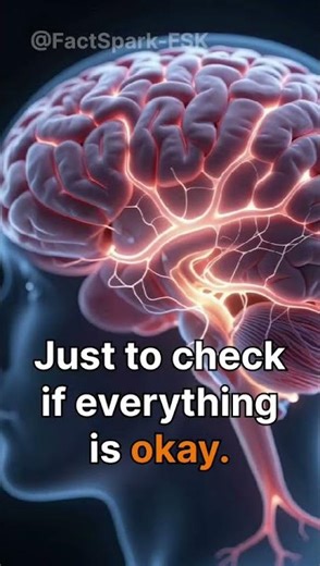 Your Body Does This While You Sleep 😳 #shorts #facts