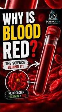 Why Blood Is Red (The Truth About Hemoglobin)