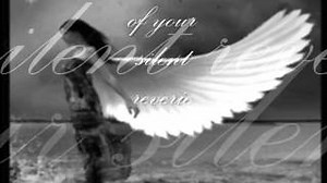 Sarah McLachlan - Arms Of The Angel