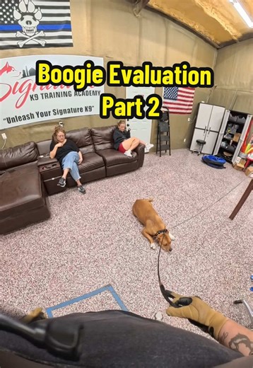 After a big display of aggression, Boogie starts to realize his old tactics don’t work here. You can begin to hear the panic and confusion set in. For years, these behaviors have worked to control the situation. But when those strategies stop working, something interesting happens… The dog has to start figuring out another way. While Boogie works through that moment and begins learning how to self-regulate, Dan discusses his observations with the owners and we have the difficult conversation abo