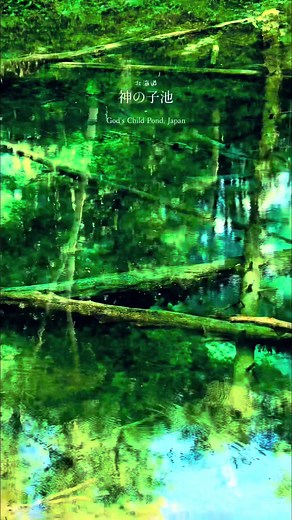 神の子池 神秘な青やエメラルドに変色するさまはとても美しく、池の底まで見えるパワースポット！ 北海道清里町〈阿寒摩周国立公園内〉 #神の子池 #風景 #絶景 #ドライブ #北海道旅行 #beautifulview