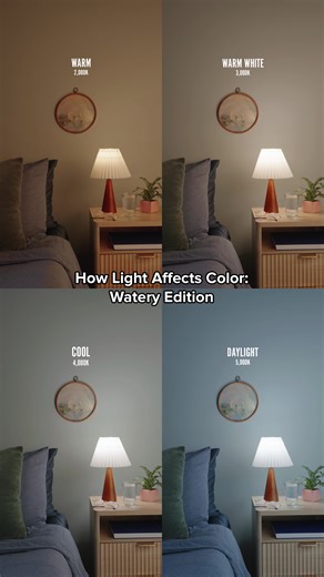 Choosing the Best Bulb for Watery Behr