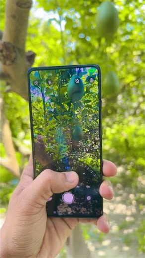 Moto g86 power 5G camera zoom 10X test #new #smartphone #trending #motorolaonevision #motog86power