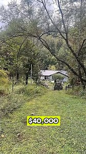 50-Acre Property with Home in Paintsville, Kentucky | Abandoned Beauties