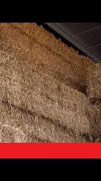 diy a pine straw hand baler
