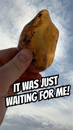 Montana Agate #agate #montana #adventure #rockhounding #outdoors #yellowstoneriver #dog #treasure