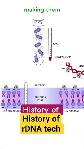 History of Recombinant DNA technology #recombinantdnatechnology