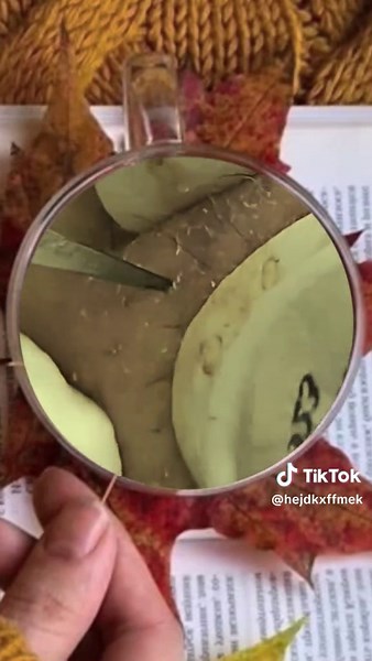 Satisfying Pimple Popping Compilation