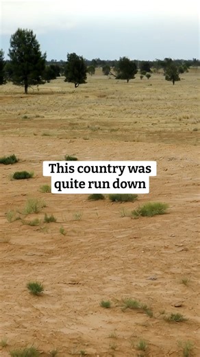 Australian Good Meat on Instagram: "What if farming could regenerate nature? By understanding what happens from the ground up, the Hughes family were able to turn their Aussie beef farm into a system of regeneration. Discover more about their journey here👇 #AusGoodMeat"