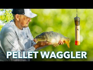 PELLET WAGGLER FISHING: The Easy Method