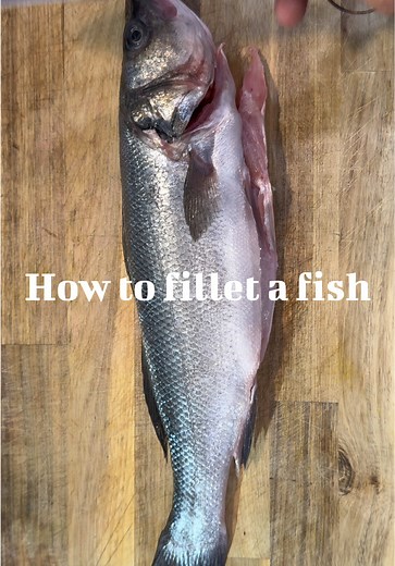 How to Fillet a Fish: Step-by-Step Guide
