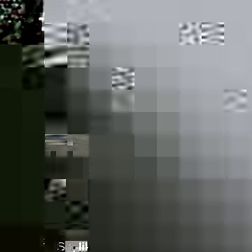 The Biggest Myth In Education | Veritasium