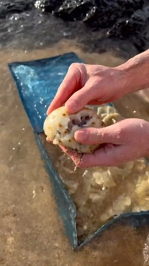 42K views · 65 reactions | Crazy Beach Discovery  | Our Weird & Wonderful Discoveries | Facebook