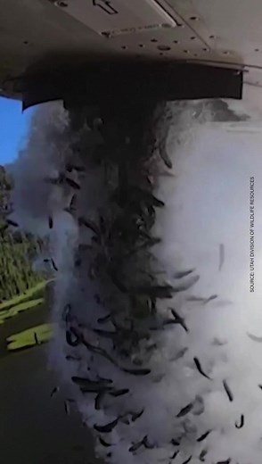 The fish in this lake are restocked for recreational fishing using airplanes 🎣🛩️ | Seeker Media