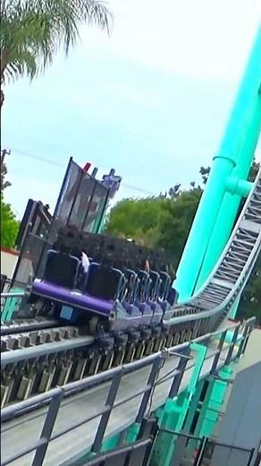 The Short & POWERFUL Launch of Xcelerator