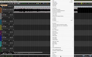 Magix Sequoia _ Forensic audio