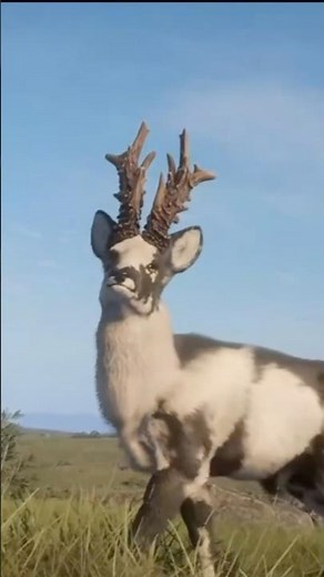 NEW Great One Roe Deer RACKS & FURS Revealed! 🔥 | Early Access