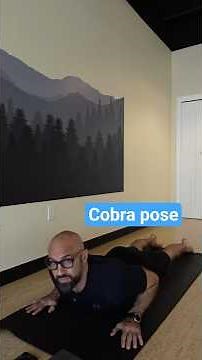 Cobra pose | Day 14 of Yoga Basics