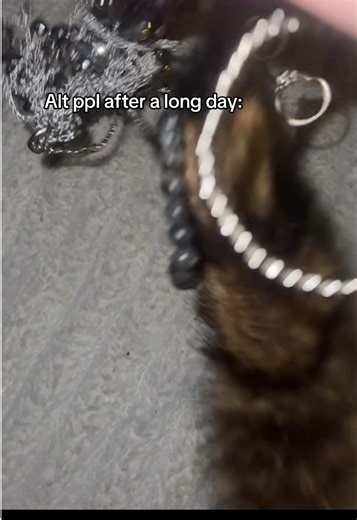 Feeling Alt: A Day in the Life of Alternative Individuals