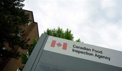 ‘Presence of insects’ prompts recall of Canadian soup mix
