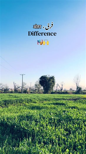 Understanding the Differences That Make Us Unique