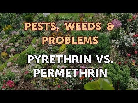 Pyrethrin Vs. Permethrin