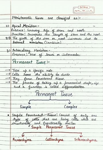 Class 9th Science | Chapter 6 TISSUES | Notes Part-1