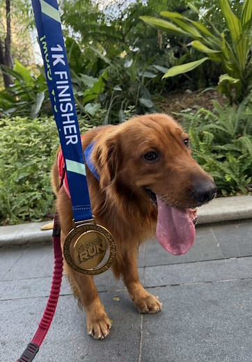 Java's GCash Run 2026: 9th Place Finish!