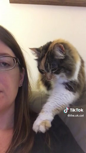 Adorable Cat Eating Mommy's Hair and Glasses 😸❤️
